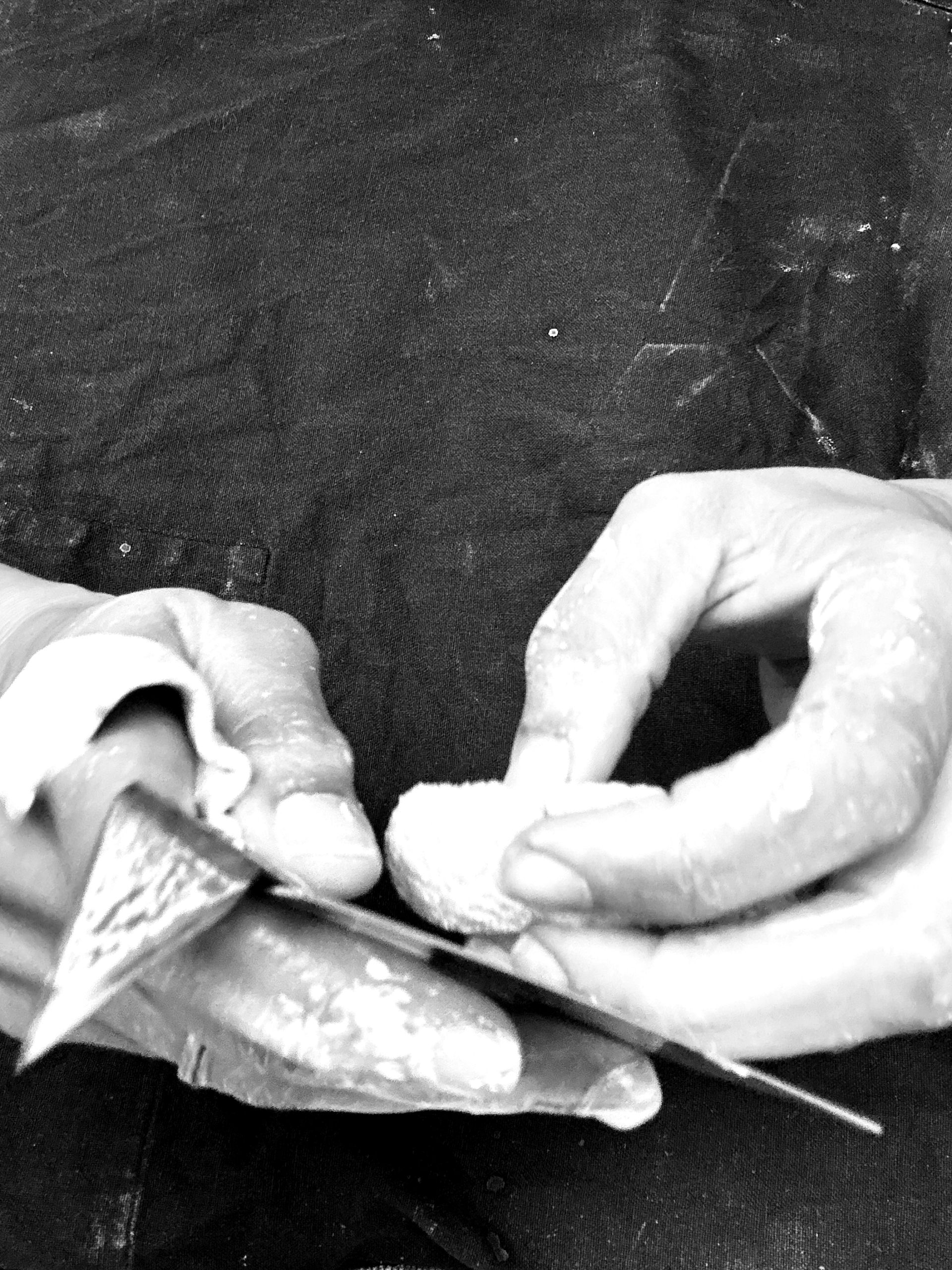 Sonia - hands with tools